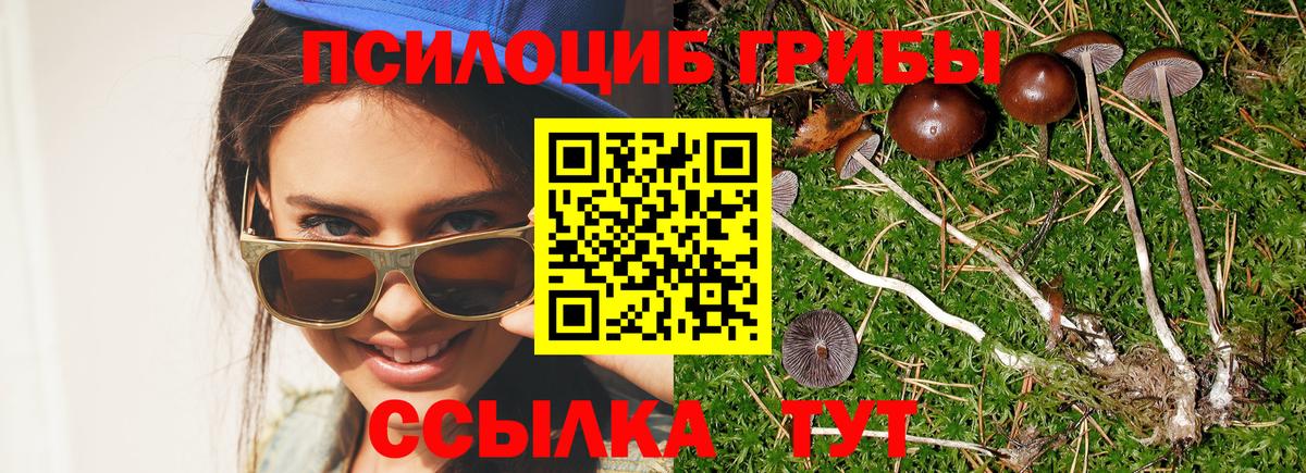 Галлюциногенные грибы прущие грибы  Вход с VPN  наркотики  Екатеринбург 