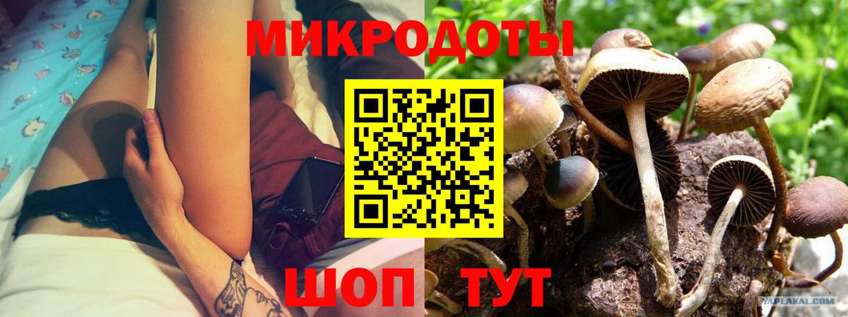 Галлюциногенные грибы Psilocybe Екатеринбург